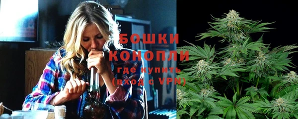 сатива Нефтекумск