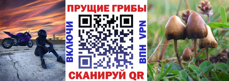 купить наркотик  Кисловодск  Галлюциногенные грибы Magic Shrooms 