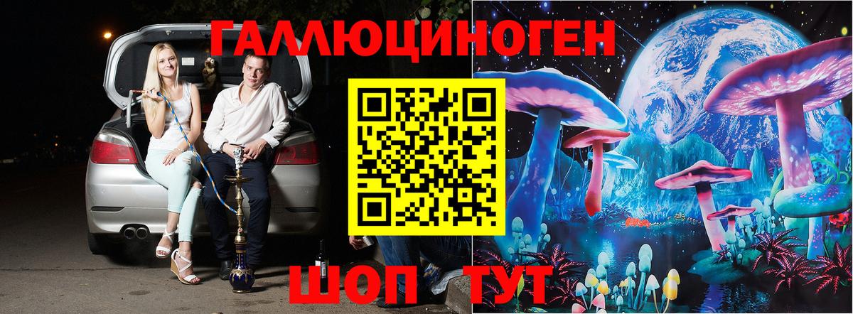 Псилоцибиновые грибы GOLDEN TEACHER Кисловодск
