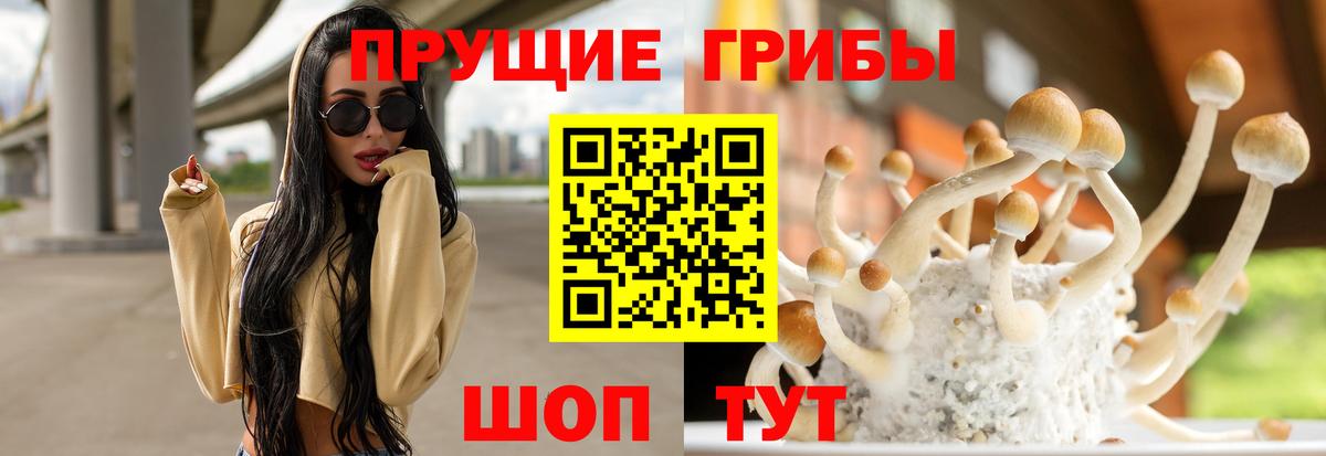 Кисловодск  Псилоцибиновые грибы MAGIC MUSHROOMS  Вход с VPN  Псилоцибиновые грибы MAGIC MUSHROOMS 