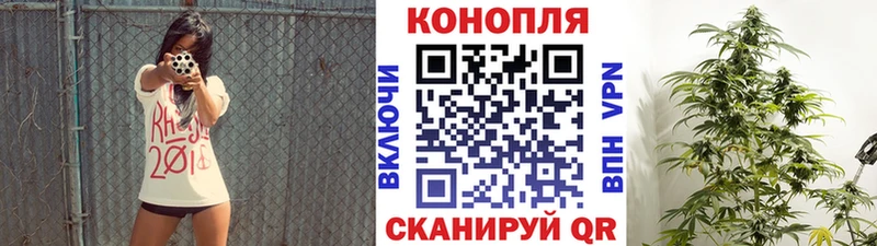 Канабис VHQ где найти Кисловодск